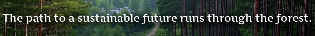 The path to a sustainable future runs through the forest.